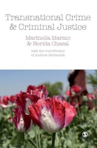 Transnational Crime and Criminal Justice