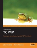 Understanding TCP/IP