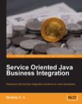 Service Oriented Java Business Integration