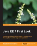 Java EE 7 First Look