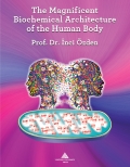 THE MAGNIFICENT BIOCHEMICAL ARCHITECTURE OF THE HUMAN BODY