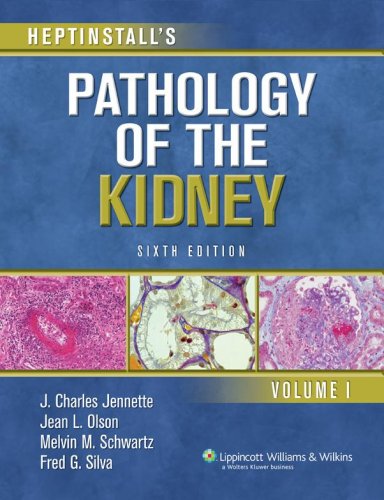 Heptinstall s Pathology of the Kidney (Pathology of the Kidney (Heptinstall s))