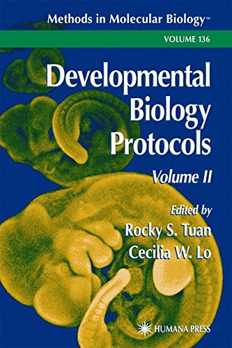 Developmental Biology Protocols: Volume II: v. 2 (Methods in Molecular Biology)