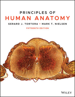 (KOD) Principles of Human Anatomy, 15th Edition (Kod içinde e-kitap erişimi de mevcuttur.)