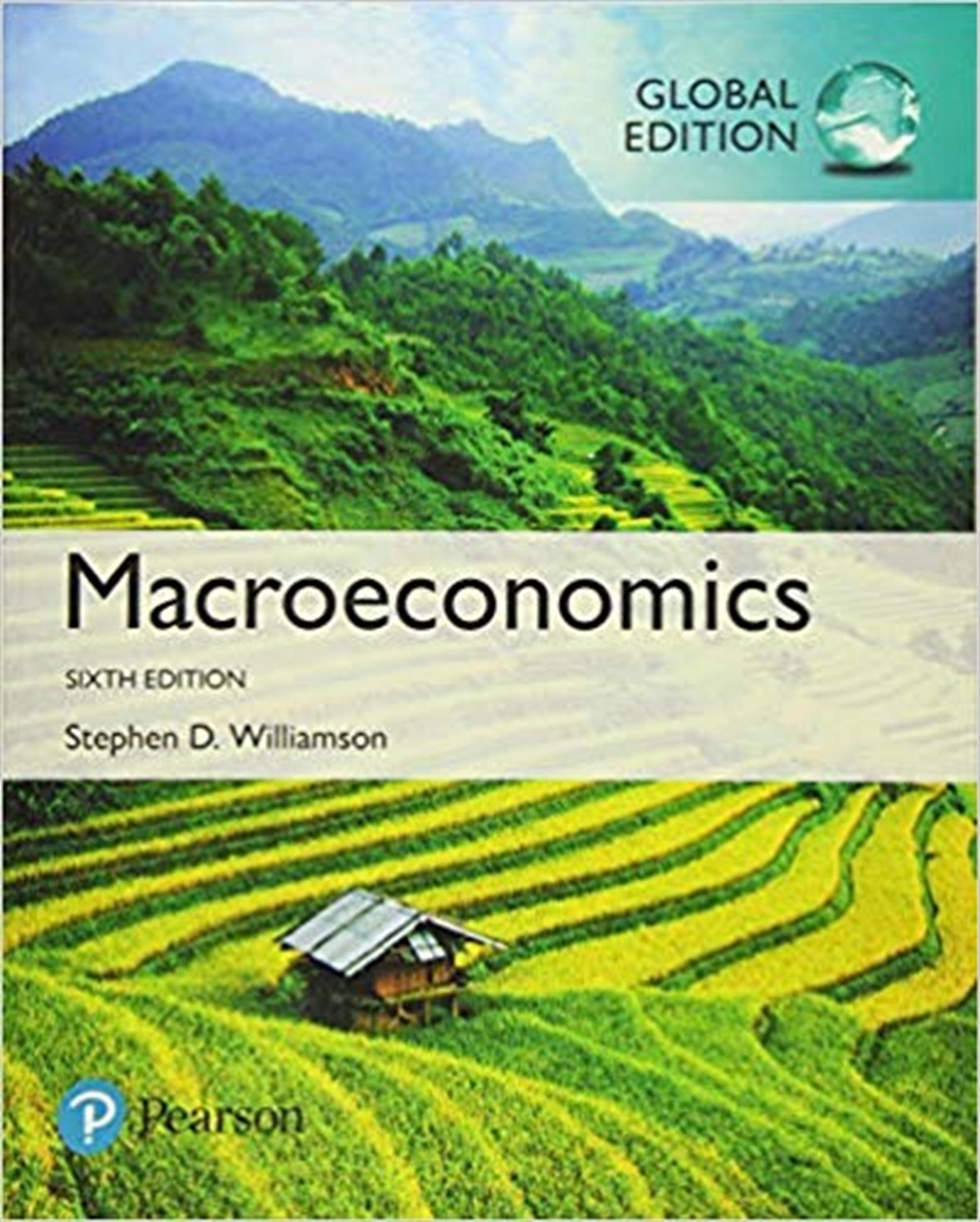 HE-Williamson-Macroeconomics GE p6