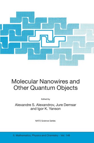 Molecular Nanowires and Other Quantum Objects: 148 (Nato Science Series II:)