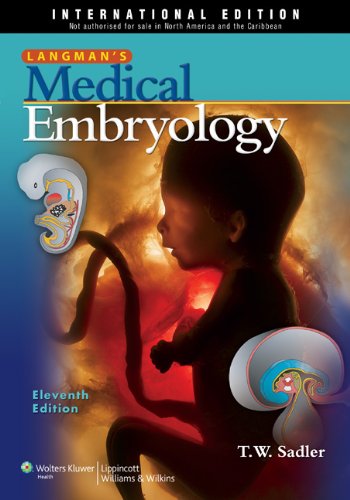Langman s Medical Embryology