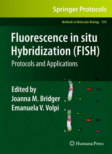 Fluorescence in Situ Hybridization (FISH): Protocols and Applications: 659 (Methods in Molecular Biology)