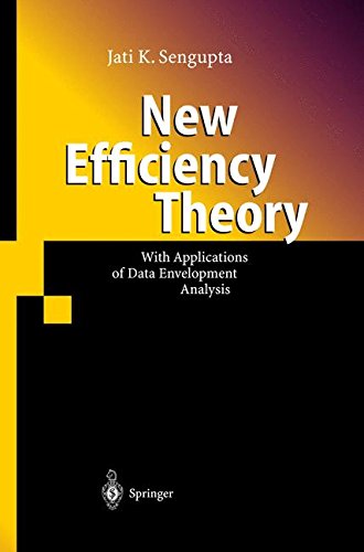 New Efficiency Theory: With Applications of Data Envelopment Analysis