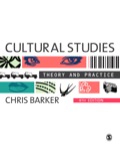 Cultural Studies: Theory and Practice