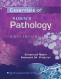 Essentials of Rubin