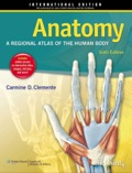 Anatomy: A Regional Atlas of the Human Body