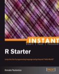 Instant R Starter