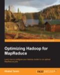 Optimizing Hadoop for MapReduce