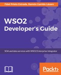 WSO2 Developer