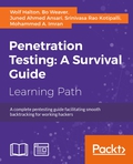Penetration Testing: A Survival Guide
