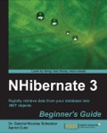 NHibernate 3 Beginner