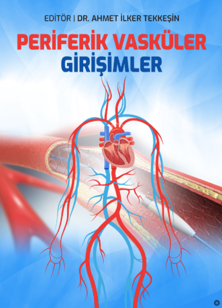 Periferik Vasküler Girişimler