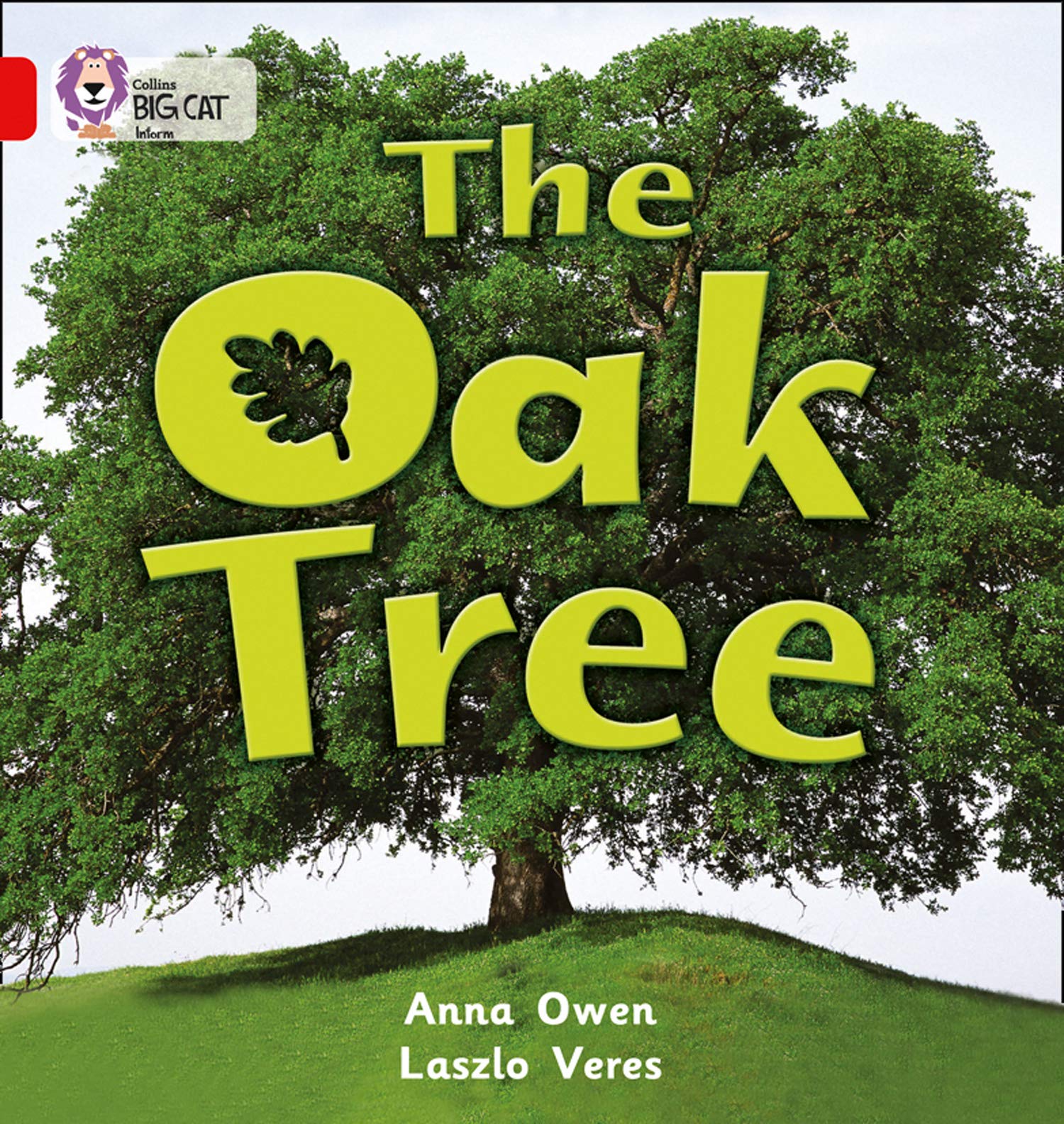 BIG CAT - THE OAK TREE