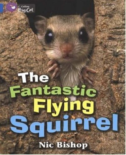 The Fantastic Flying Squirrel: Band 04/Blue (Collins Big Cat)