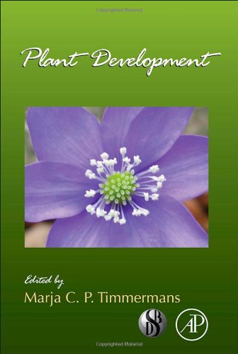Plant Development: 91 (Current Topics in Developmental Biology)