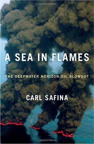 A Sea in Flames: The Deepwater Horizon Oil Blowout