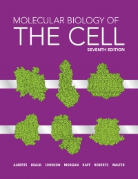 (KOD) Molecular Biology of the Cell (Kod içinde e-kitap erişimi de mevcuttur.)