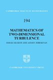 Mathematics of Two-Dimensional Turbulence (Cambridge Tracts in Mathematics)