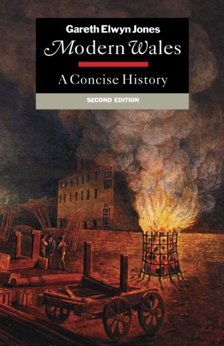 Modern Wales: A Concise History