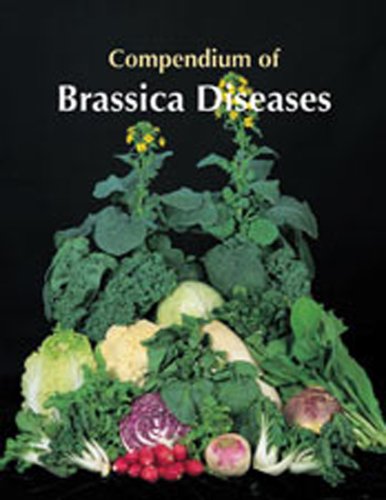 Compendium of Brassica Diseases