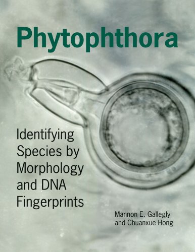 Phytophthora: Identifying Species by Morphology and DNA Fingerprints