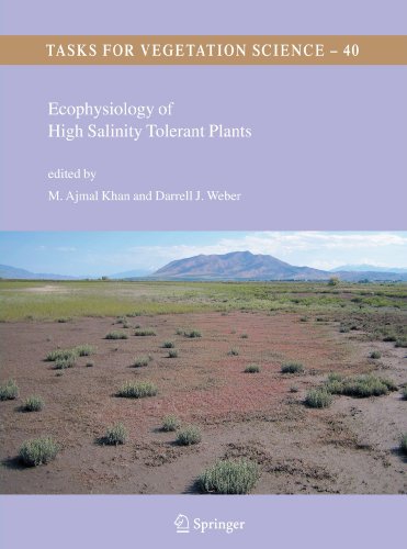 Ecophysiology of High Salinity Tolerant Plants (Tasks for Vegetation Science)