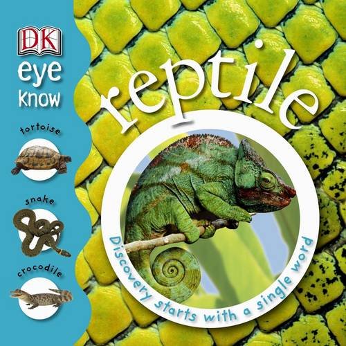 Reptile (Eye Know)