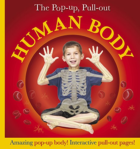 Pop-Up, Pull-Out Human Body