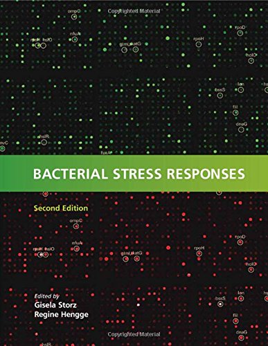 Bacterial Stress Responses