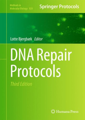 DNA Repair Protocols (Methods in Molecular Biology)