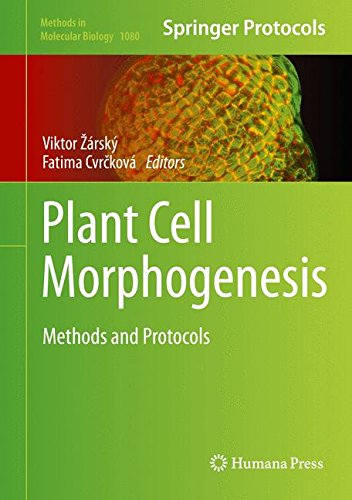 Plant Cell Morphogenesis: Methods and Protocols (Methods in Molecular Biology)