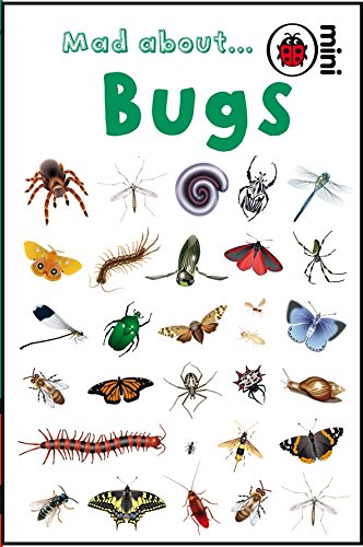 Mad About Bugs (Ladybird Minis)