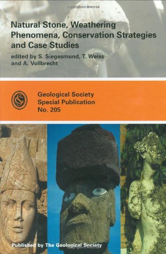 Natural Stone, Weathering Phenomena, Conservation Strategies and Case Studies: No. 205: Special Publication (Geological Society of London Special Publications)