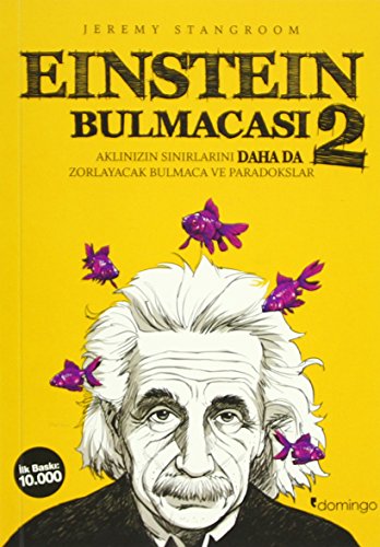 Einstein Bulmacası 2