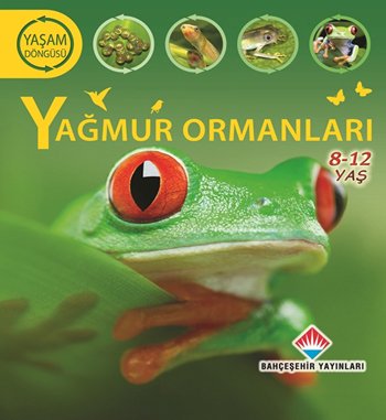 Yaşam Döngüsü: Yağmur Ormanları