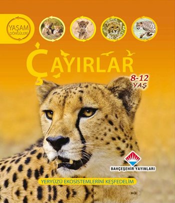 Yaşam Döngüsü: Çayırlar