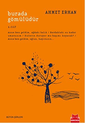 Burada Gömülüdür / Bütün Şiirleri 1. Cilt
