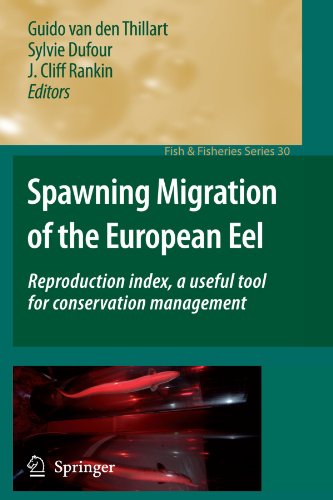 Spawning Migration of the European Eel: Reproduction index, a useful tool for conservation management (Fish & Fisheries Series)