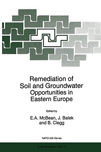 Remediation of Soil and Groundwater: Opportunities in Eastern Europe (Nato Science Partnership Subseries: 2 (closed))