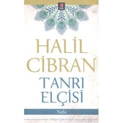 Ahbar-ı Asara Tamim-i Enzar - Roman Tarihine Genel Bir Bakış