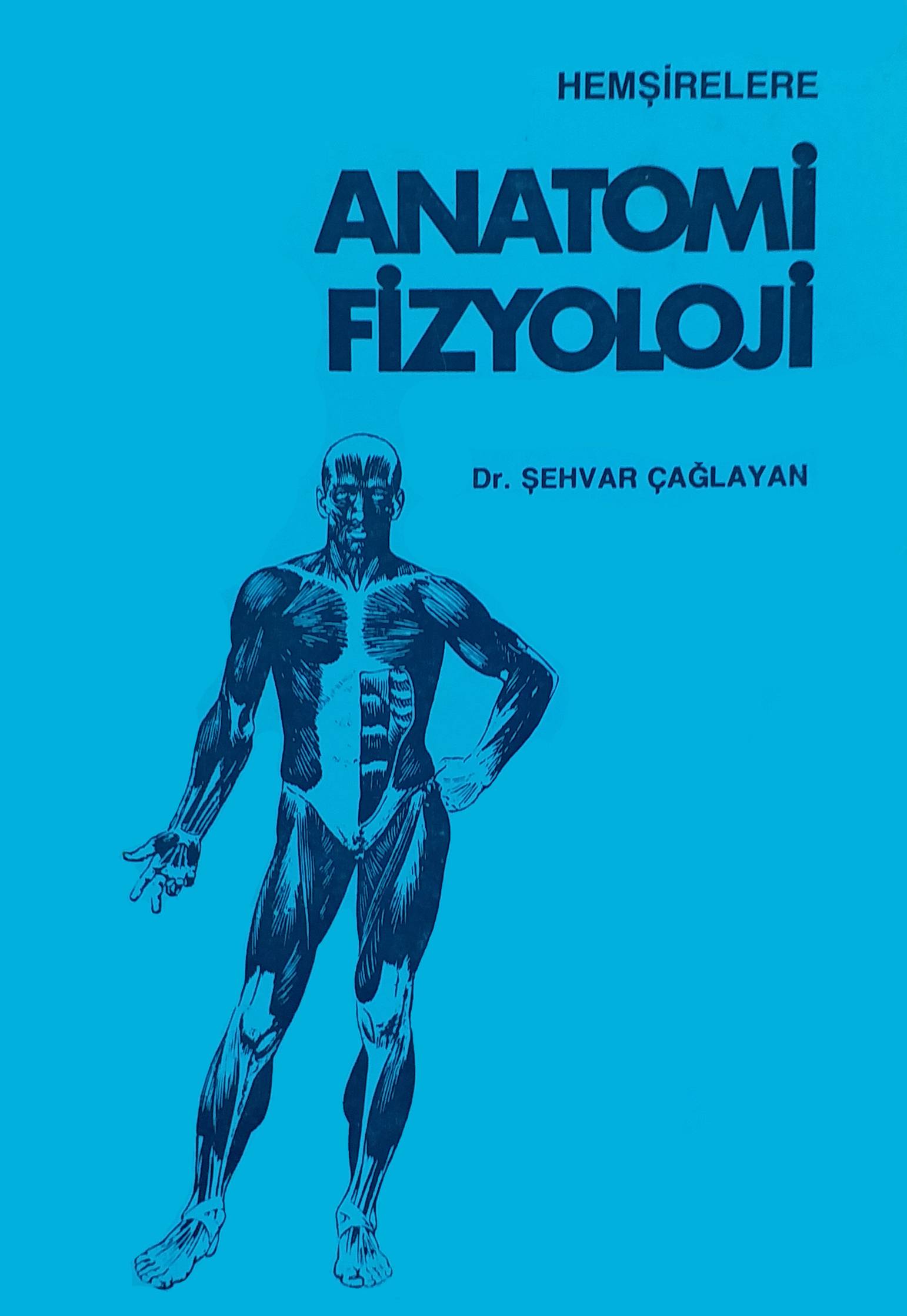 Anatomi fizyoloji
